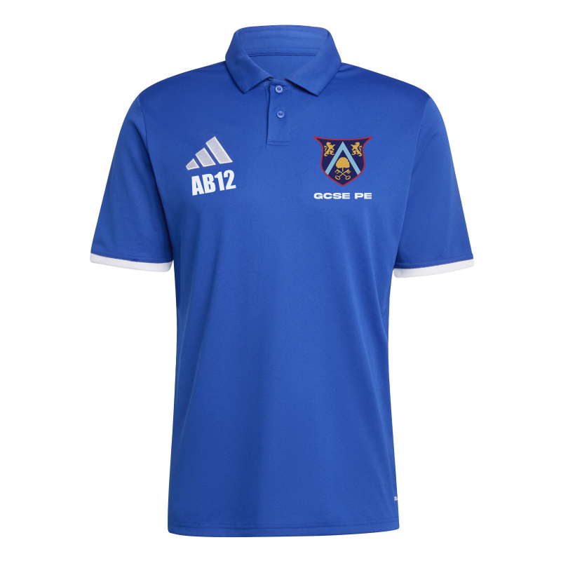Ash Manor Polo